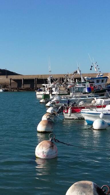 Entre Golfe Et Ocean Villa La Trinité-Surzur Buitenkant foto