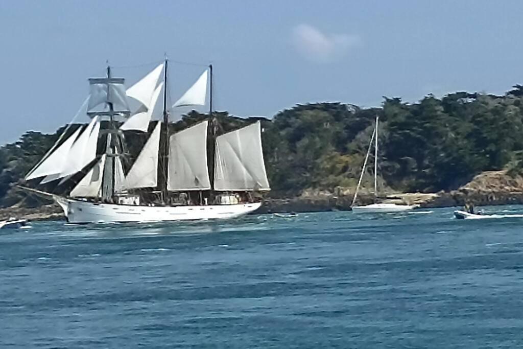 Entre Golfe Et Ocean Villa La Trinité-Surzur Buitenkant foto